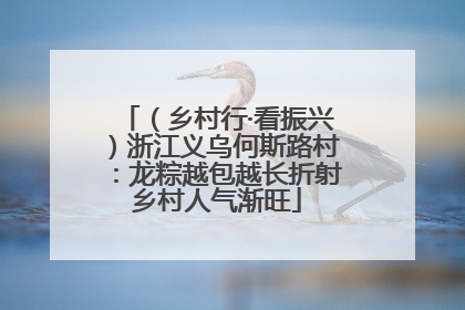 （乡村行·看振兴）浙江义乌何斯路村：龙粽越包越长折射乡村人气渐旺