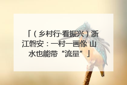 （乡村行·看振兴）浙江磐安：一村一画像 山水也能带“流量”