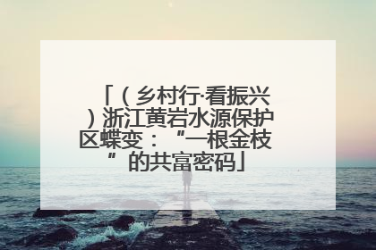 （乡村行·看振兴）浙江黄岩水源保护区蝶变：“一根金枝”的共富密码