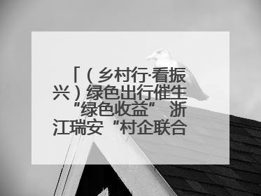 （乡村行·看振兴）绿色出行催生“绿色收益” 浙江瑞安“村企联合体”促共富