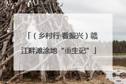 （乡村行·看振兴）赣江畔滩涂地“重生记”