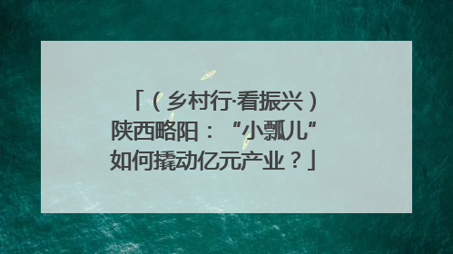 （乡村行·看振兴）陕西略阳：“小瓢儿”如何撬动亿元产业？