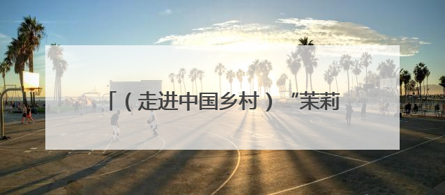 （走进中国乡村）“茉莉之乡”广西横州借力数字智能 产业升级香飘海外