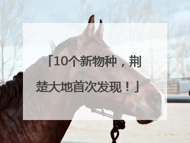 10个新物种，荆楚大地首次发现！