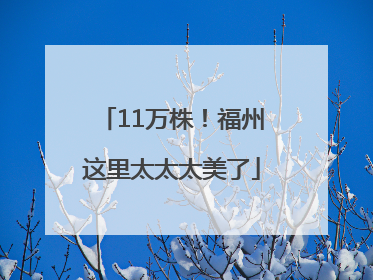 11万株！福州这里太太太美了