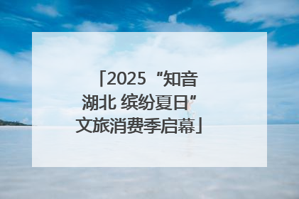 2025“知音湖北 缤纷夏日”文旅消费季启幕