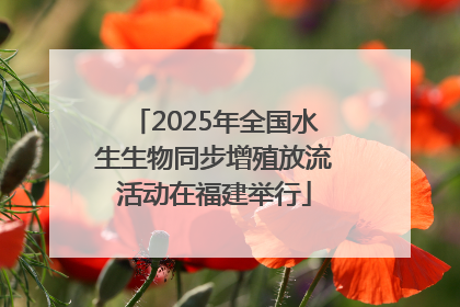 2025年全国水生生物同步增殖放流活动在福建举行