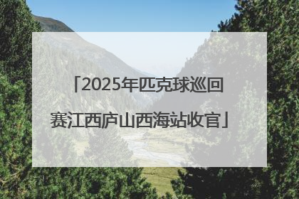 2025年匹克球巡回赛江西庐山西海站收官