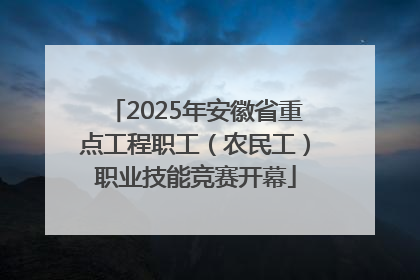 2025年安徽省重点工程职工（农民工）职业技能竞赛开幕