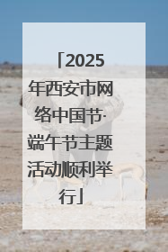 2025年西安市网络中国节·端午节主题活动顺利举行