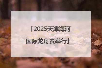 2025天津海河国际龙舟赛举行