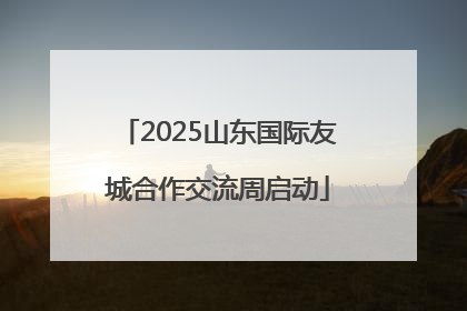 2025山东国际友城合作交流周启动