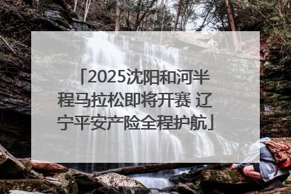 2025沈阳和河半程马拉松即将开赛 辽宁平安产险全程护航