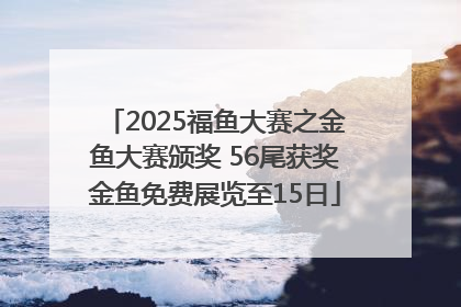 2025福鱼大赛之金鱼大赛颁奖 56尾获奖金鱼免费展览至15日