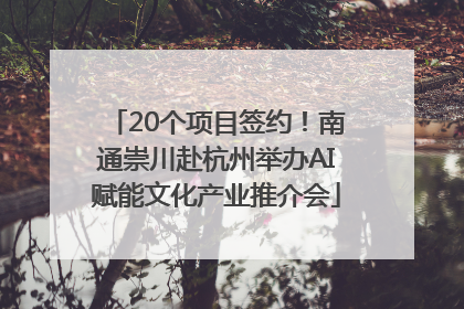20个项目签约！南通崇川赴杭州举办AI赋能文化产业推介会