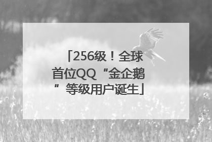 256级！全球首位QQ“金企鹅”等级用户诞生