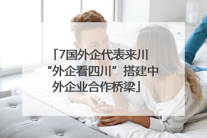 7国外企代表来川 “外企看四川”搭建中外企业合作桥梁