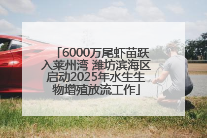 6000万尾虾苗跃入莱州湾 潍坊滨海区启动2025年水生生物增殖放流工作