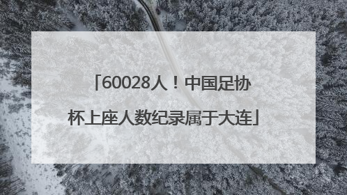 60028人！中国足协杯上座人数纪录属于大连