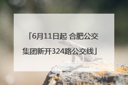 6月11日起 合肥公交集团新开324路公交线