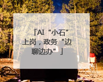AI“小石”上岗，政务“边聊边办”