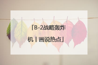 B-2战略轰炸机丨画说热点