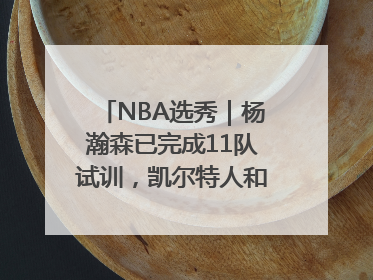 NBA选秀｜杨瀚森已完成11队试训，凯尔特人和太阳更适合他